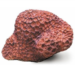 Искусственные кораллы